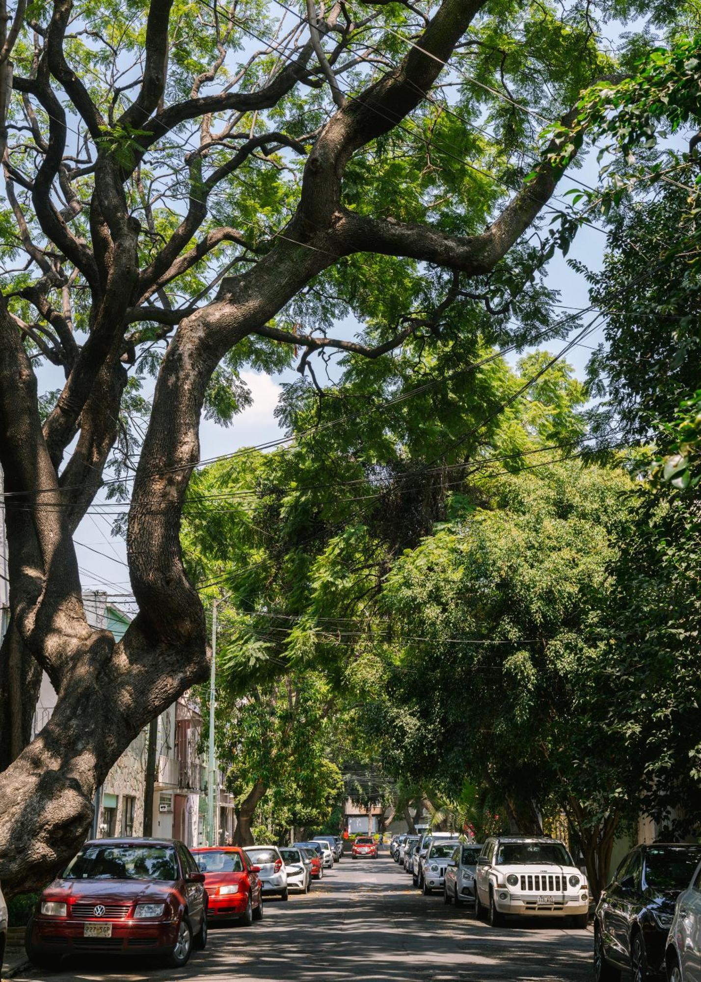 Sonder Miravalle Mexico by Eksteriør bilde